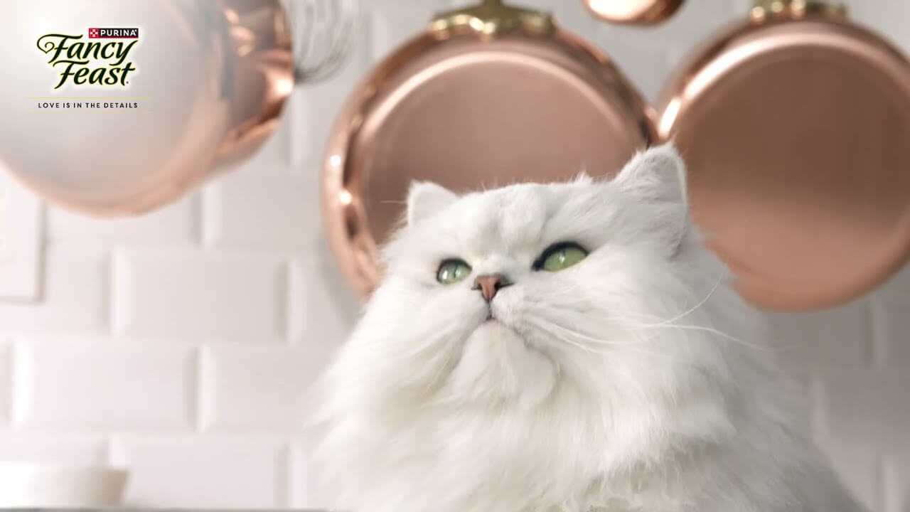 FANCY FEAST – Culinary Inspired, Cat Adored