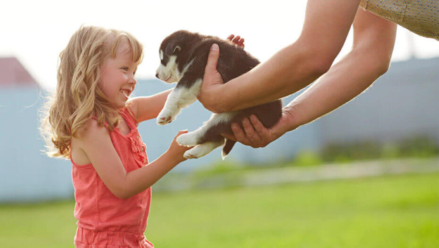 Taking a puppy home