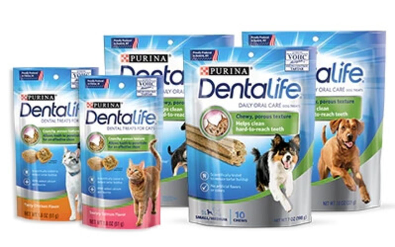 Dentalife-Promotion-Winners