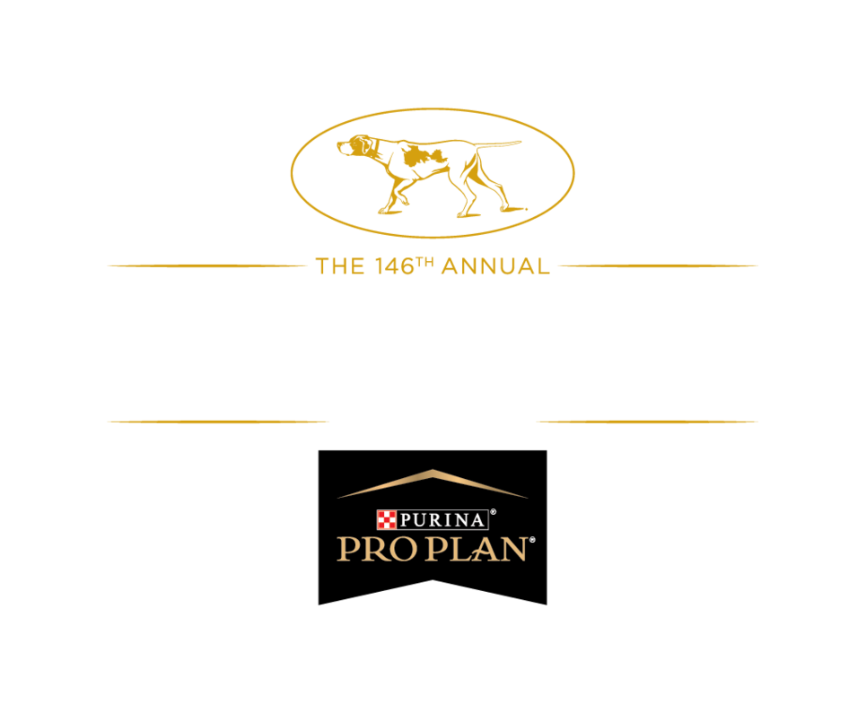 Westminster Kennel Club Dog Show Purina New Zealand