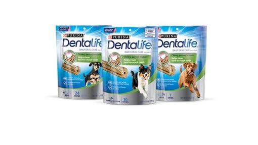 dentalife coles