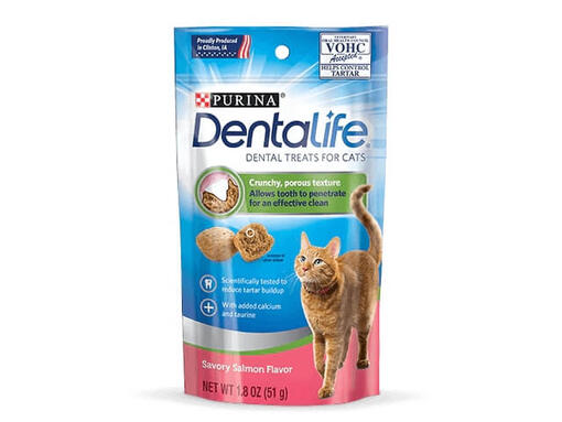 purina dental cat