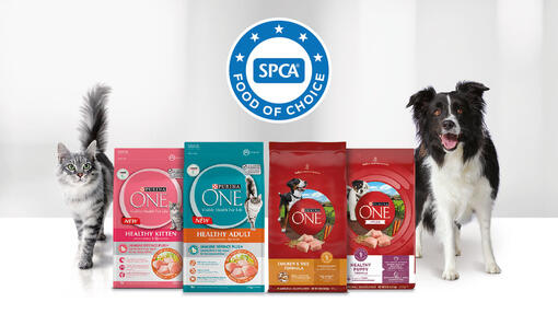 Purina ONE Nutritionally Balanced Cat Food Purina