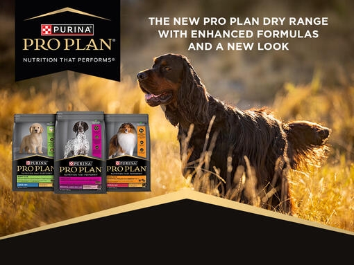 Purina Your Pet Our Passion Purina New Zealand